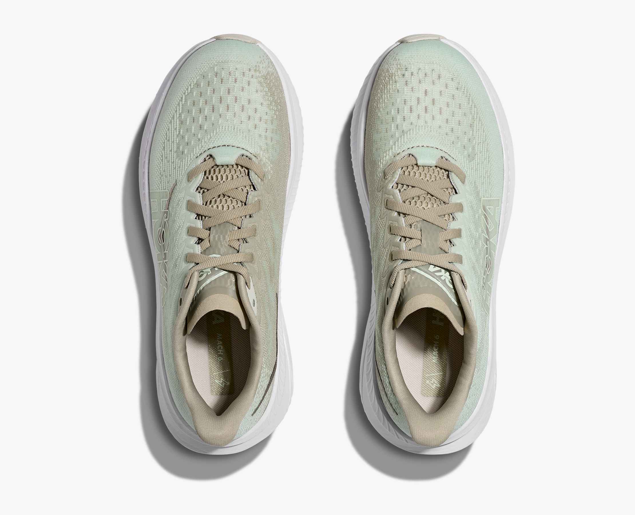 Femme Mach 6 - oyster mushroom / truffle salt – Image 2